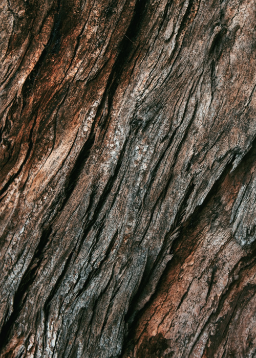 Pure White Interior Design