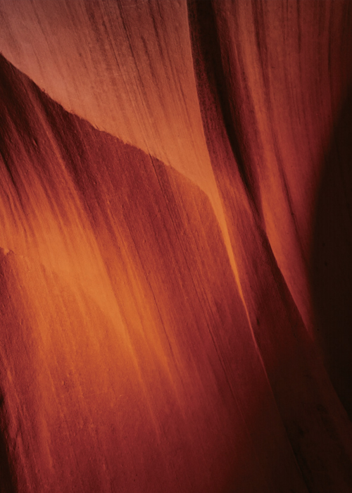 Oak Natural Interior Design